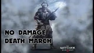 The Witcher 3 Wild Hunt - Caranthir Boss Fight No Damage (NG+ Death March)