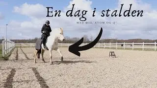 VLOG#7 En dag i stalden
