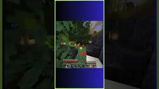 Дом для попугаев🦜 или SPA для жителей Minecraft