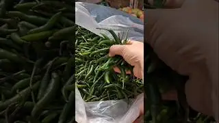 Mirchi Techa..🌶🌶/Kolhapuri  Mirchi  Techa Recipe#shorts#youtubeshorts