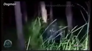 From Myth to Modern Sightings: The Dogman Mystery- short video shows a supposed sighting- Brazil