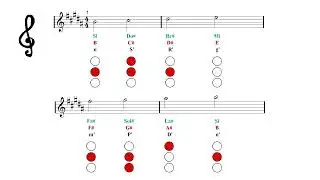 Trumpet B Major Scale - Fingering Charts Notes Tutorial