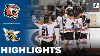 RIT vs American International | NCAA College Atlantic Hockey Final | Highlights - March 23, 2024
