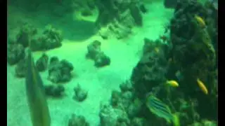 Sweden (Stockholm) Aquatorium