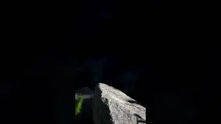 ADORABLE Pika Calling Sounds!