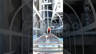 生命线Vertical Lifeline System with Self-locking Device (Best-selling Steel Cable Product#lifeline