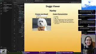#100Devs - Let's Refactor the Doggo Generator!