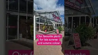 Our favourite plants for late summer and autumn colour🌈