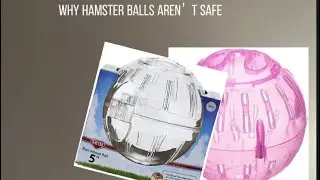 Are hamster ball&rsquo;s safe?