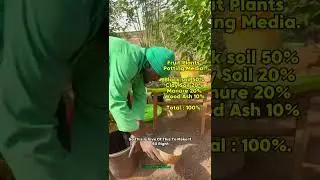 Recommend Soil Mix/Media for Nursery Planting, Herbs and veggies, Potted fruit plants. #soilmixture