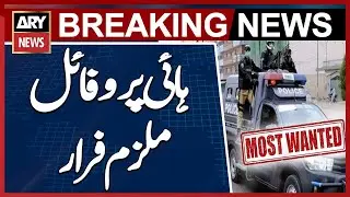 High-profile suspect escapes from Sindh police custody - Breaking News