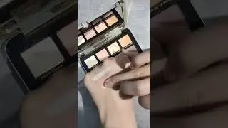 Too Faced White Peach Eyeshadow Palette Swatching