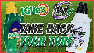 Killex & Roundup Super Concentrates - Feature Product