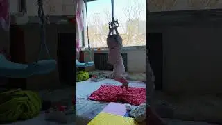 #shorts#newborns #baby #pregnant women giving birth#multiple births #Twin babies