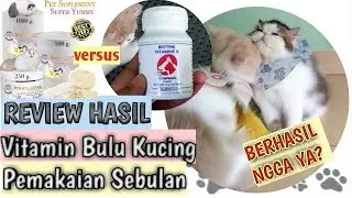 Review Hasil Pemakaian Vitamin Bulu Kucing dan Suplemen Makan  Biotine dan Pinkpawpal