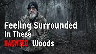 Haunted Woods In The Castle Ring - Cannock Chase