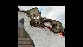 Birds in Rome