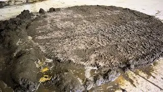 How to best clean a large wool rug?