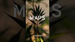 🌿 Can a Leaner Weedmaps ($MAPS) Find a Path to Profit in a Tough Market?