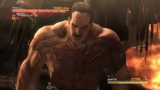 ARMSTRONG!!  | Metal Gear Rising: Revengeance   ep11