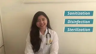 The Difference Between Sanitization, Disinfection, and Sterilization