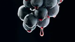 Antik Bağcılık Luxury Grapes