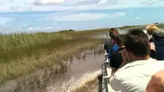 Gator Park (ахтунг, дикий звук)