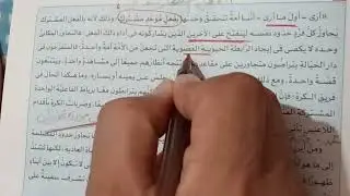 حل تدريبات قراءة متحررة على نماذج فلسفية للصف الثالث الثانوى من كتاب الامتحان 2025