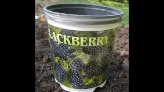 Our Pennsylvania Spring Garden 2012 by Valley Picks4u