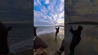 Let's Keep Catching These Dungies!