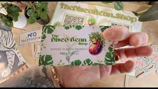 DISCO BEAN HOUSE/TRANCE SET (PLANT SHOP)