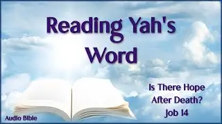 Is There Hope After Death? (Job 14) Audio Bible