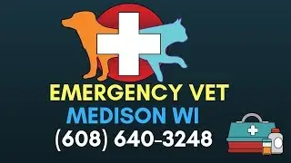 24 Hour Pet Hospital Madison WI | Emergency Vet Care Madison WI | (608) 640 3248