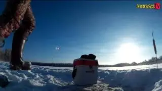 Рыбалка в мороз. Минус 26.