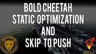 Bold Cheetah Training - Static Optimization and Skip to Push Features