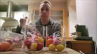 Tomatentest mit Cocktailtomaten mit dem Wasser aus der ECAIACarafe von Sanuslife & Leitungswasser