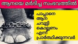 ജോലി ചെയ്ത പാപ്പാനെ ആന കുത്തികൊല്ലണം എന്ന് പ്രാർത്ഥന| Ulloor karthikeyan | Elephant attack malayalam