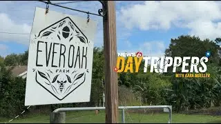 DAYTRIPPERS | Everoak Farms | Sustainable Farming in Orlando, FL