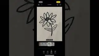 How I Scan My Illustrations into Illustrator | Natalie Bell Creative