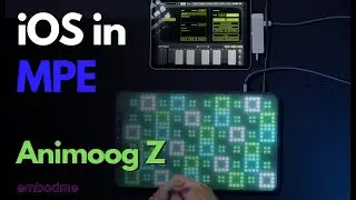 Playing Animoog Z (Moog iOS App) on Erae Touch versatile MPE MIDI Controller