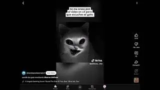 Sonido de gato maullando #terror