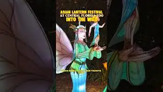Asian Lantern Festival at Central Florida Zoo