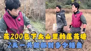 花200元包下大山里的莲花塘，里面的鳝鱼资源究竟怎么样？2天一共能抓到多少鳝鱼？#户外抓鱼 #户外捕鱼 #乡村小罗 #乡村生活 #农村生活