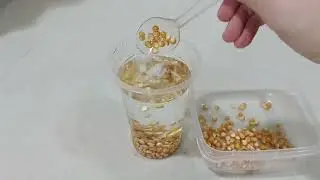 Dancing Popcorn Experiment