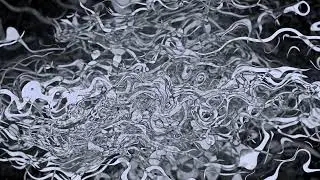 AUDIO REACTIVE GENERATIVE GRAPHICS FOR MUSIC FESTIVALS
