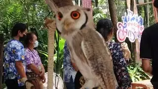 Safari World 🐯🦉