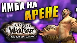 САМАЯ ЛУЧШАЯ КОМАНДА ДЛЯ АРЕНЫ В ПРЕПАТЧЕ SHADOWLANDS world of warcraft 9.0