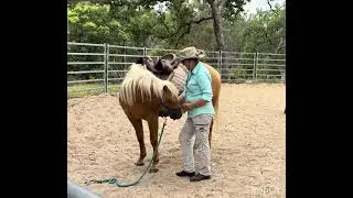 Don&rsquo;t worry, everything&rsquo;s alright