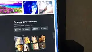 GSync Glitch?