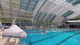 Analysis of Back Dive training day.  201B x5 Diving # 194 #divingboard